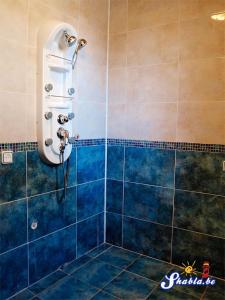 y baño con ducha de azulejos azules. en Elida Guest House, en Shabla