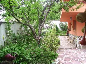 A garden outside Hadjibulevata Guest House