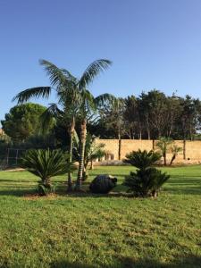 A garden outside Petruso Resort