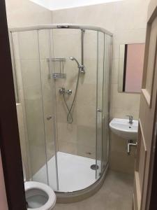 een badkamer met een douche, een toilet en een wastafel bij Penzion malých pivovarů in Pilsen