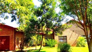 Jardin de l'établissement Ankuweni Guest house