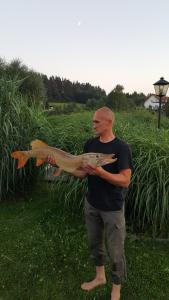 Ein Mann, der einen Fisch auf einem Feld hält. in der Unterkunft Willa Warmińska in Dywity