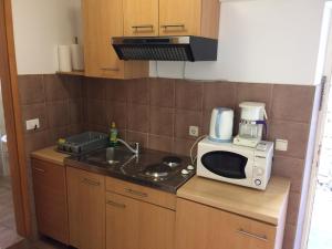 Kuchyňa alebo kuchynka v ubytovaní Apartman Lucic C