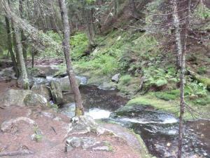 a stream in a forest with rocks and trees at Apartmány Karlov pod Pradědem in Malá Morávka