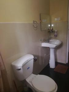 a bathroom with a white toilet and a sink at Nuwara eliya mountain view homestay in Nuwara Eliya +67 photos