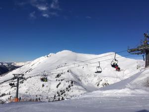 Appartement Alpenrauschen talvel