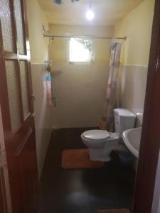 a bathroom with a toilet and a sink at Nuwara eliya mountain view homestay in Nuwara Eliya