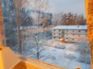 エスポーにあるViherkallio two room apartment with kitchen and balkonyの雪に覆われた庭を望む窓