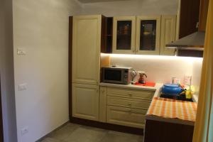 a kitchen with a microwave on top of a counter at Appartamento Tenaglia in Spormaggiore