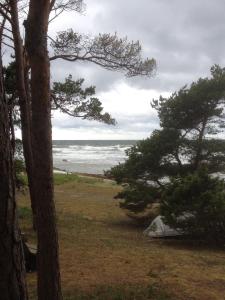 Afbeelding uit fotogalerij van Brissund in Visby