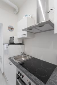 Kuchyňa alebo kuchynka v ubytovaní Lovely Studio Apartment Volkertmarkt