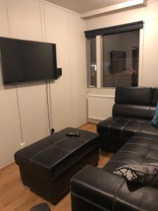 sala de estar con sofá y TV de pantalla plana en Sæból/Ocean Lair, en Grundarfjordur