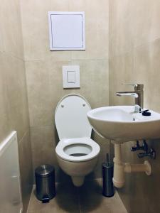 a bathroom with a toilet and a sink at Apartment No.7 Lúčky - Jasná in Belá