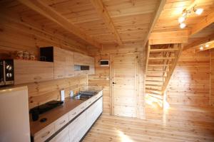 Kuchyň nebo kuchyňský kout v ubytování Domek letniskowy Orzechowa + 25 fotografií