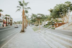 a sidewalk with a palm tree on the side of a street at Home Nina in Playa de las Americas