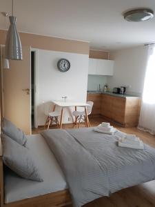 a bedroom with a large bed and a kitchen at Apartmány Pec pod Sněžkou in Pec pod Sněžkou