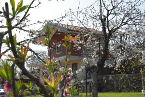 a house with flowering trees in front of it at La terra dei ciliegi tra l'Etna e il mare di Taormina in Piedimonte Etneo +68 photos