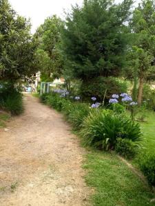 Un jardín fuera de Residencial Saldanha