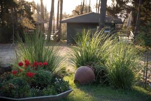 un jardín con flores y plantas en la hierba en Cabañas Lugano en Pichilemu