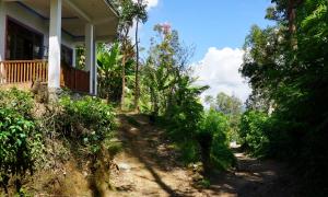 A garden outside Sun View Resort Kithalella