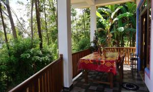 A garden outside Sun View Resort Kithalella