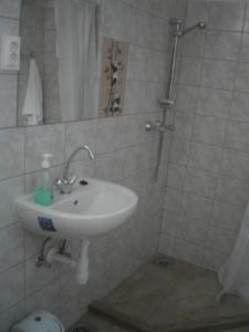 Ένα μπάνιο στο Ráday Apartman +7 φωτογραφίες