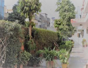 En hage utenfor Hotel Karni Niwas