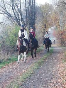 a group of people riding horses down a dirt road at Dworek Nadmorski in Bobolin