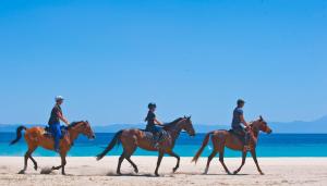 three people riding horses on the beach at Antigoni Seaside Resort in Ormos Panagias