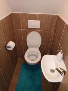 łazienka z toaletą i umywalką w obiekcie Horský apartmán 212 - Cihlářka w mieście Pec pod Sněžkou