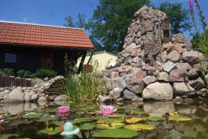 Zahrada ubytování Ferienhaus "Am Gutspark"