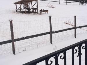 Domek Gabi z balią w ogrodzie v zime
