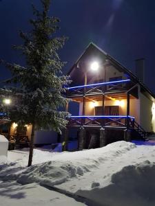 a house with a christmas tree in the snow at VILLA PARAISO in Skhidnitsa