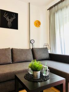 Posezení v ubytování Split Right Place****Cozy and completely new