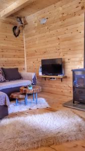 uma sala de estar com um sofá e um fogão em Brvnara Borovik em Cetinje