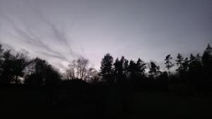 Fotografia z galérie ubytovania Forest Romantic Apartment Brdy v destinácii Věšín