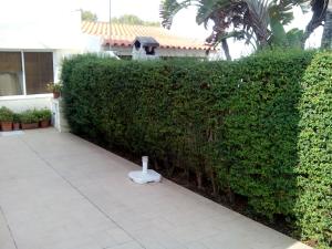 a hedge with a toilet in the middle of a sidewalk at Costa da Caparica Beach House in Costa da Caparica