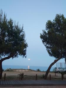 two trees on a beach with a lighthouse in the background at Hotel Baia Cea in Bari Sardo