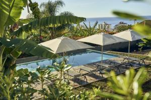 uma piscina com guarda-sóis e cadeiras e uma piscina em Bordal Houses no Funchal