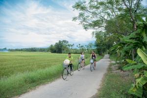 Đạp xe trong hoặc quanh Hue Ecolodge