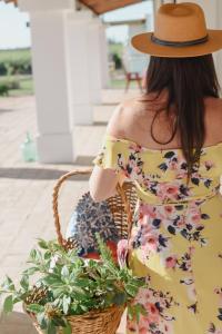 Fotografie z fotogalerie ubytování Villa Trinidad Guesthouse v destinaci Ciudad Lujan de Cuyo