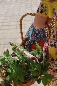 Fotografie z fotogalerie ubytování Villa Trinidad Guesthouse v destinaci Ciudad Lujan de Cuyo