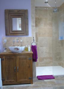 ein Bad mit einem Waschbecken und einer Dusche in der Unterkunft Spillers Farm in Axminster