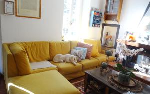 un sofá amarillo en una sala de estar con un perro sobre él en La Celestina en Piana Crixia