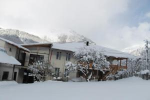 Maia's Guesthouse semasa musim sejuk