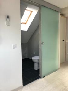 a bathroom with a toilet and a skylight at A Ház in Miskolc