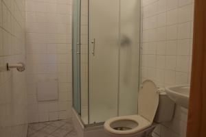 a bathroom with a shower with a toilet and a sink at Ubytování U Giordanů in Slavonice