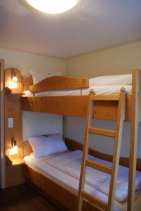 a room with two bunk beds and a ladder at Gästehaus Schlossbräu in Autenried