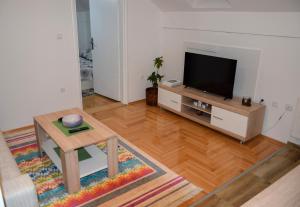 TV a/nebo společenská místnost v ubytování Apartman MAŠA