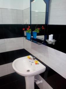 Fotografie z fotogalerie ubytování Aloe Home Stay v destinaci Sigiriya + 16 fotografií